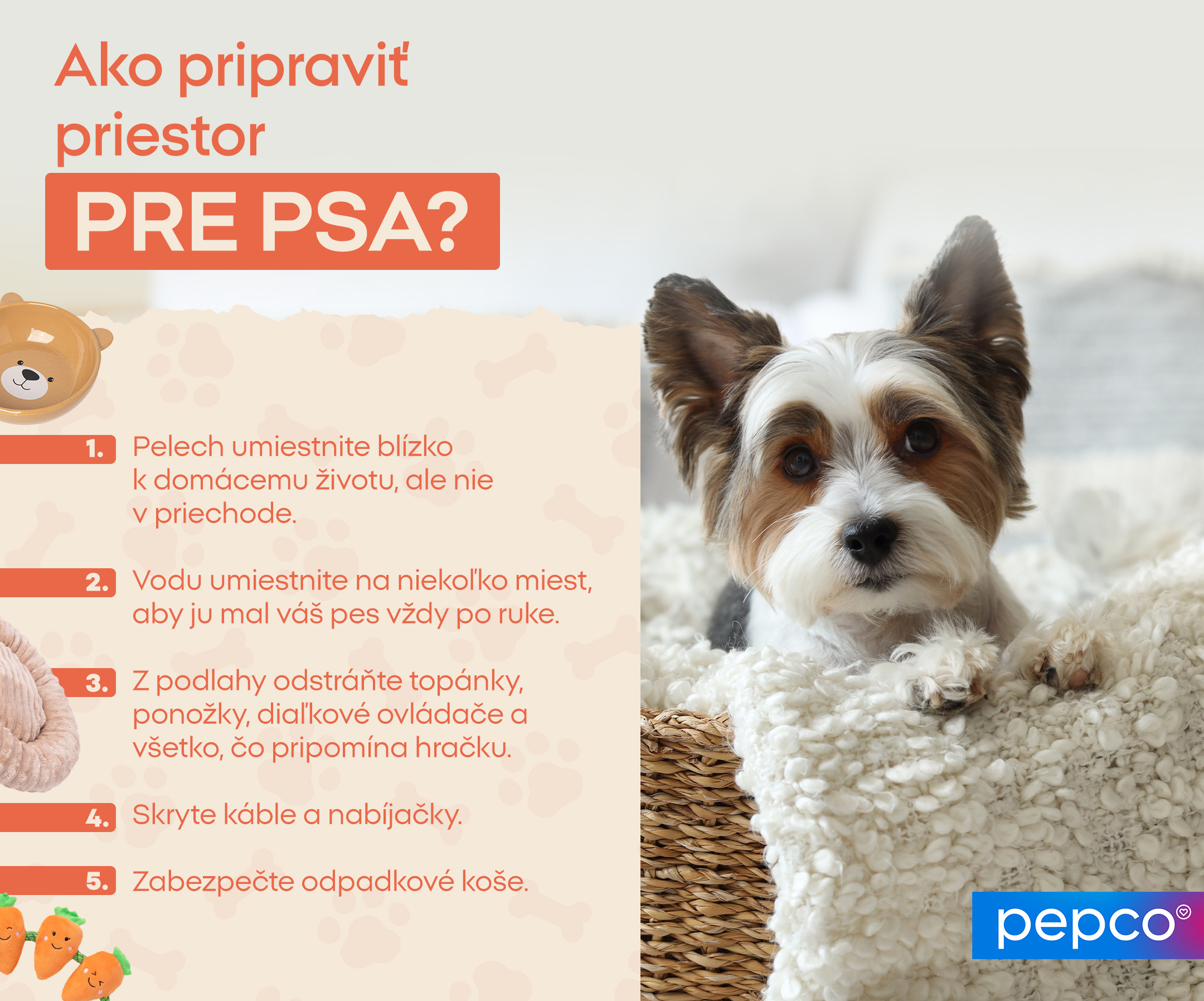 Ako pripraviť priestor pre psa? 